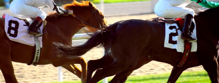 Etiam commodo convallis