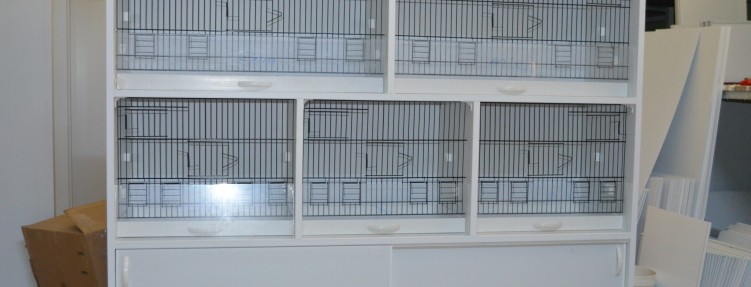 Özel Kafesler – 2