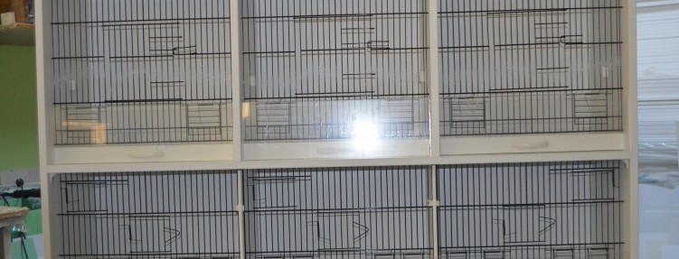 Özel Kafesler – 3