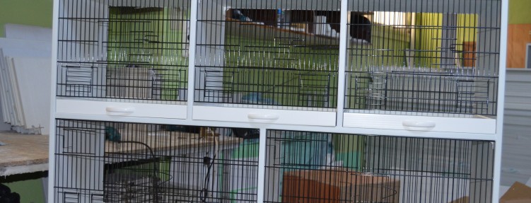 Özel Kafesler – 6