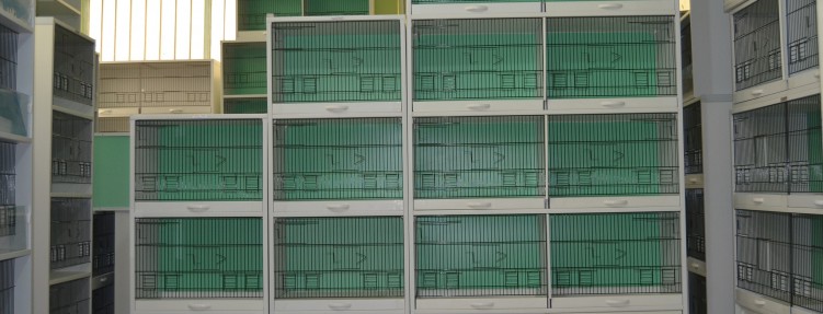 Özel Kafesler – 8