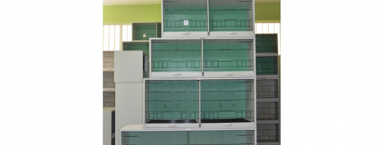 Özel Kafesler – 10