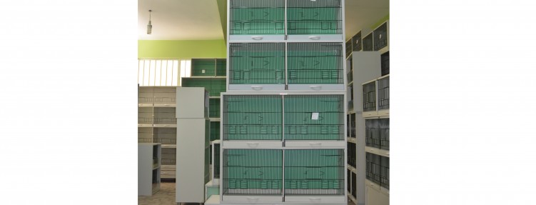 Özel Kafesler – 11