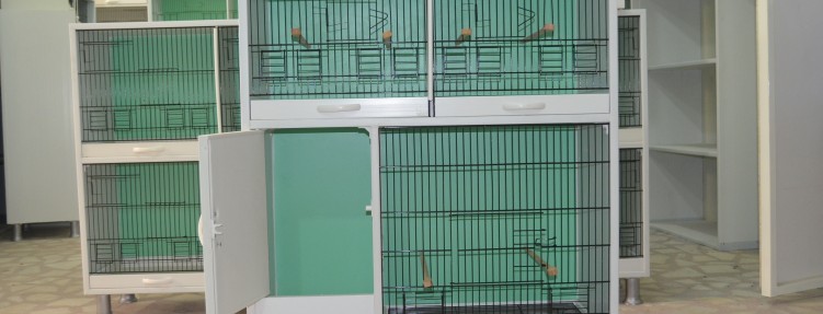 Özel Kafesler – 12